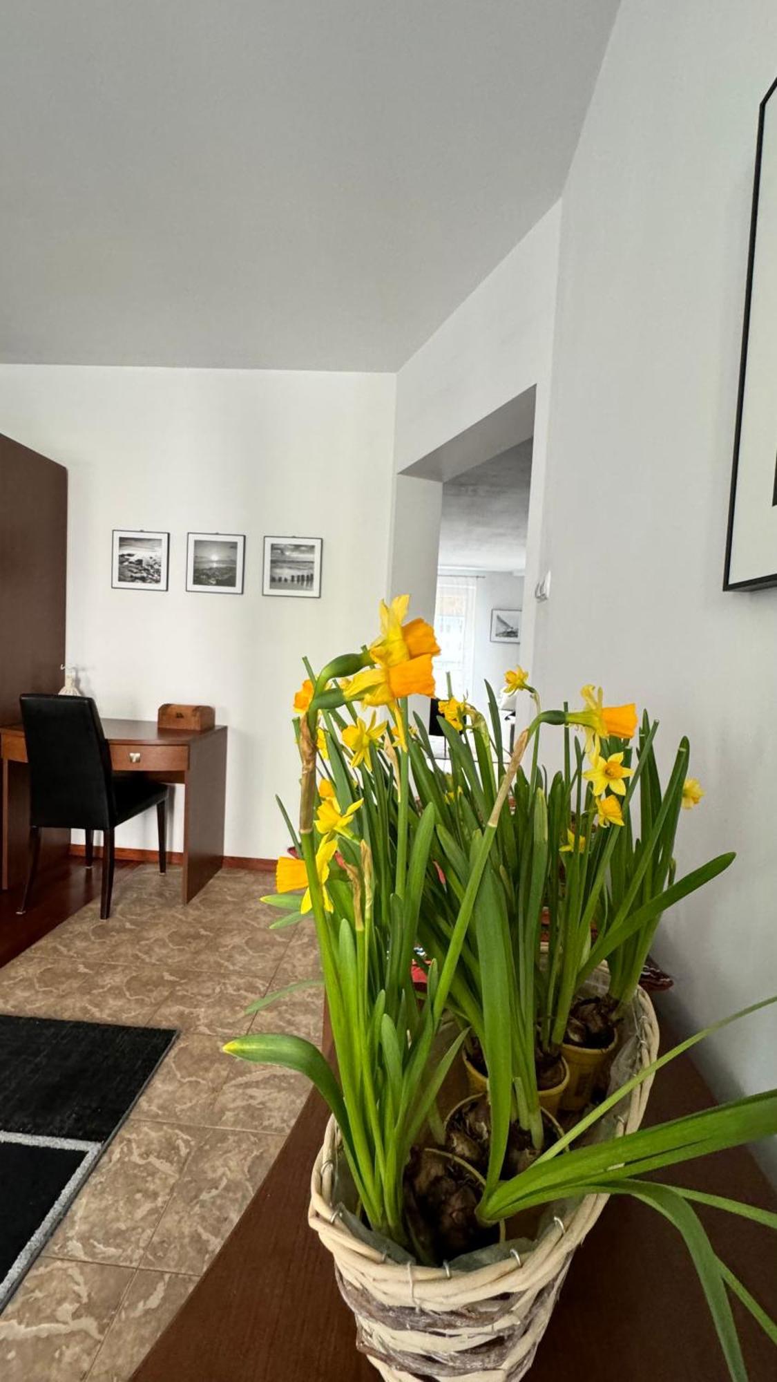 Apartament Rodzinny Kołobrzeg Extérieur photo